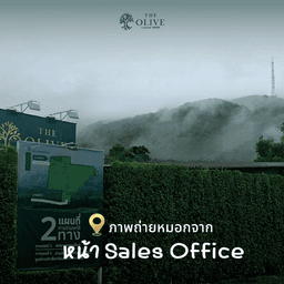 image gallery