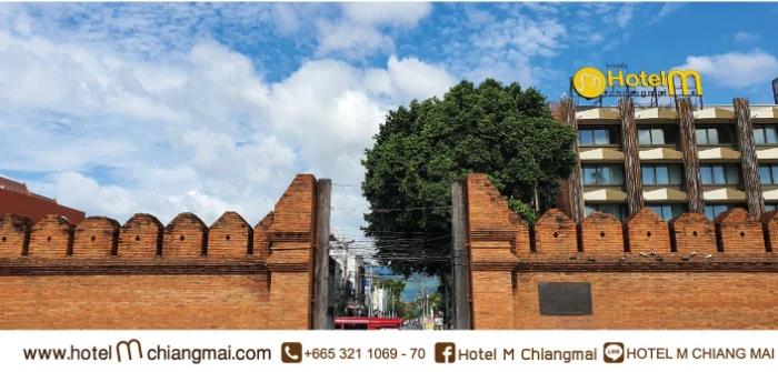 image gallery