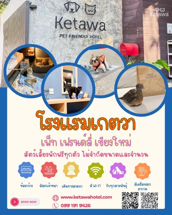 image gallery