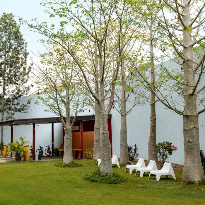 image gallery