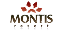 Montis Co.,Ltd