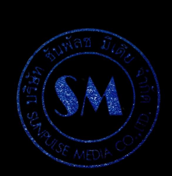 ซันพัลซ มีเดีย