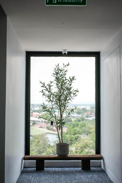 image gallery