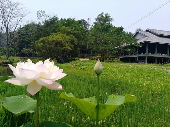 image gallery