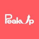 Logo Peakup Agency