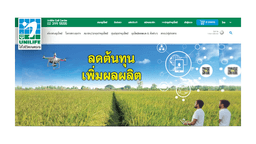 image gallery