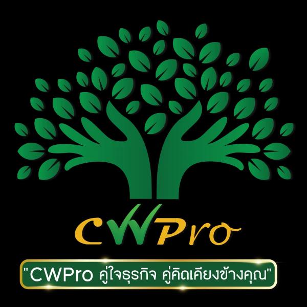 บริษัท ซีดับบลิว โปรเฟสชั่นแนล เซอร์วิส จำกัด
