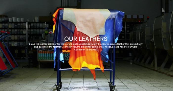 image gallery