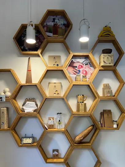 image gallery