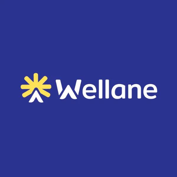 Wellane Holistic Healthcare Co.,Ltd