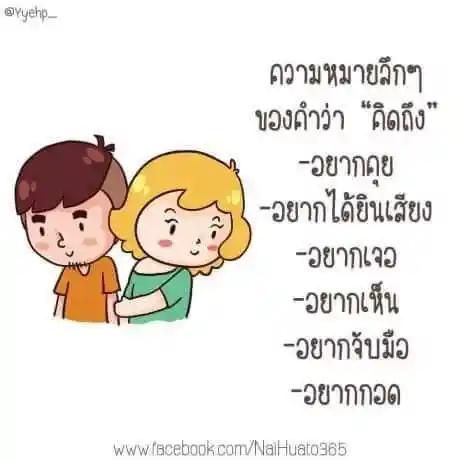 image gallery