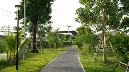 image gallery