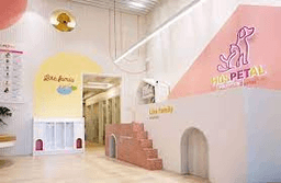 image gallery