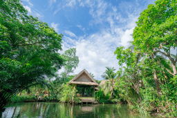 image gallery