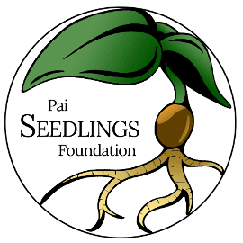 Pai Seedlings Foundation