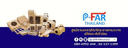 Logo P-FAR
