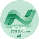 Logo NATNARA BCG SOLUTION