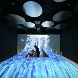 image gallery