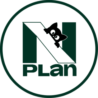 N PLAN