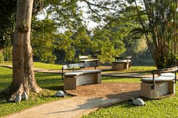 image gallery