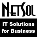 Logo NetSol Co., Ltd.
