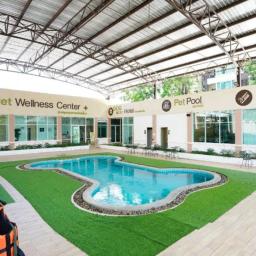 image gallery