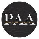 Logo Pro Audit and Acc