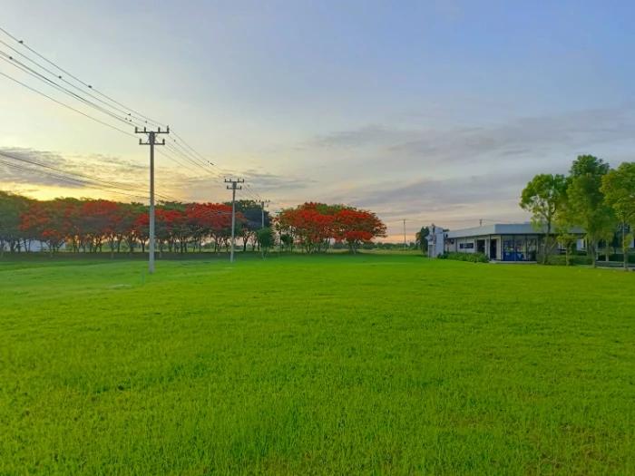 image gallery
