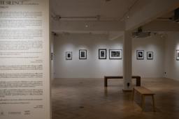 image gallery