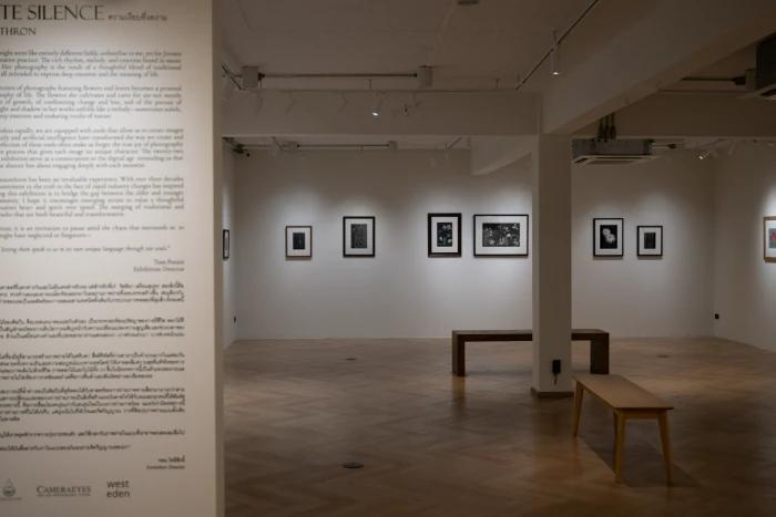 image gallery