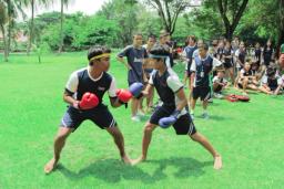 image gallery