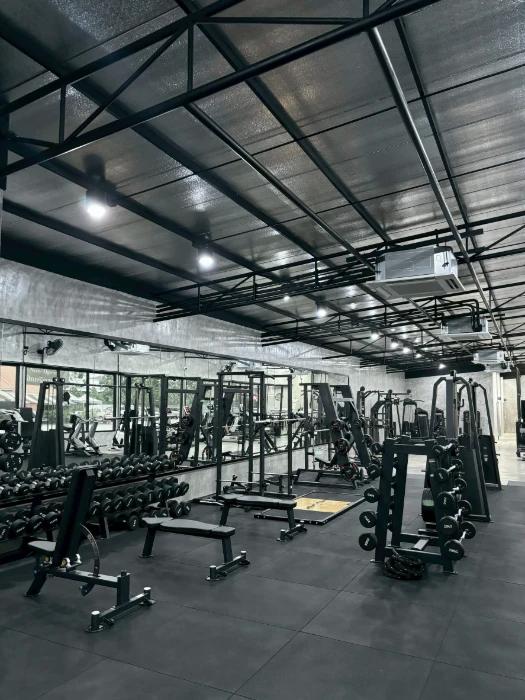 image gallery