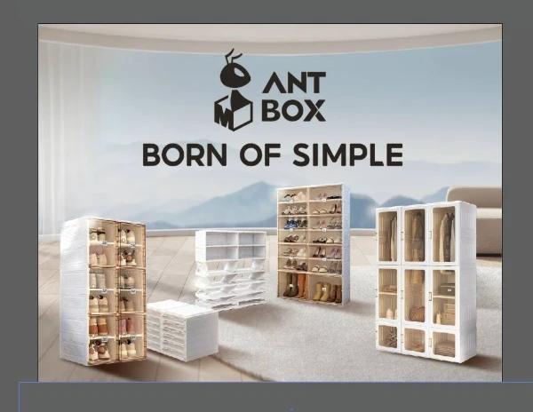 Antbox Life Co., Ltd