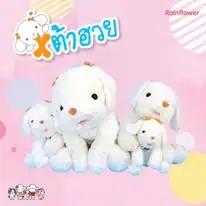 image gallery