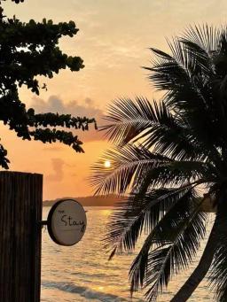 image gallery