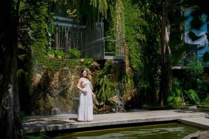 image gallery
