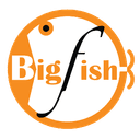 Logo BigFish Enterprise Limited