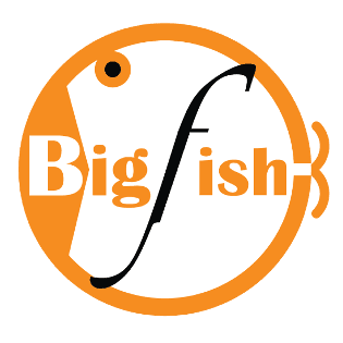 BigFish Enterprise Limited