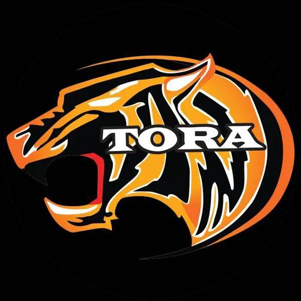Tora Energy Co.,Ltd.