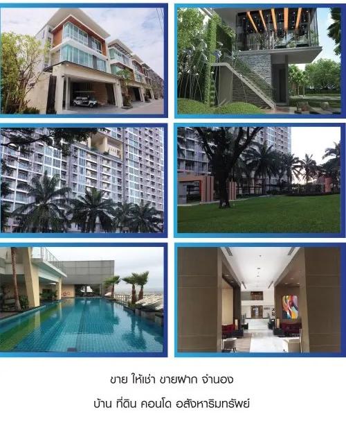 image gallery