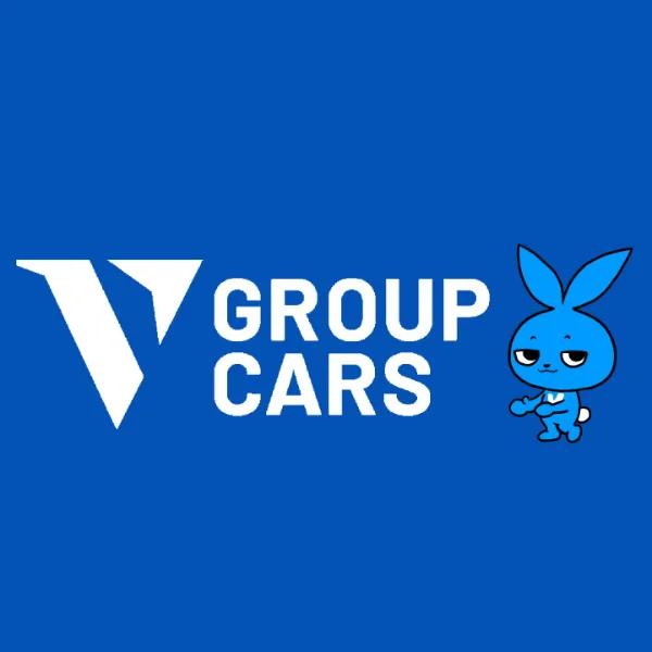 Vgroupcars
