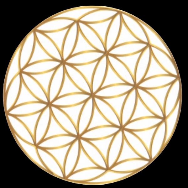 A Mind Project Co., Ltd.