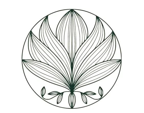 Bliss Sauna and Ice Bath