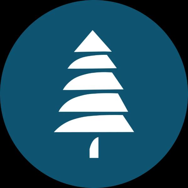 Blue Pine Ventures Limited