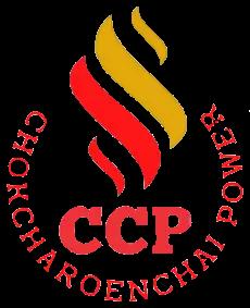 company logo