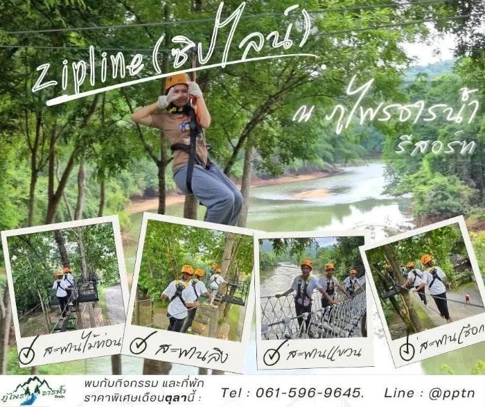 image gallery