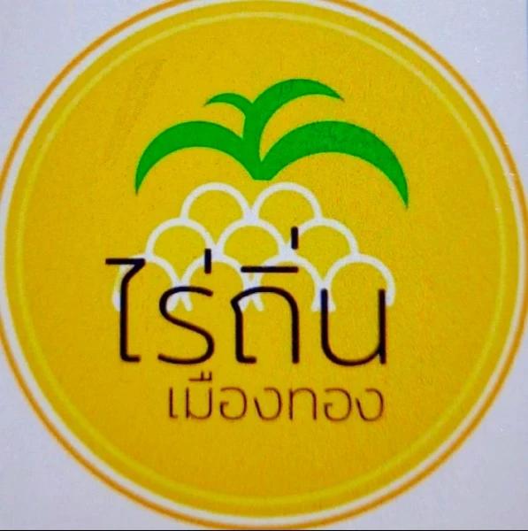 บริษัท ไร่ถิ่นเมืองทอง จำกัด